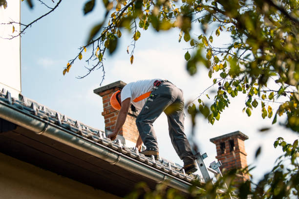 Professional Roofing Contractor in Woodward, OK