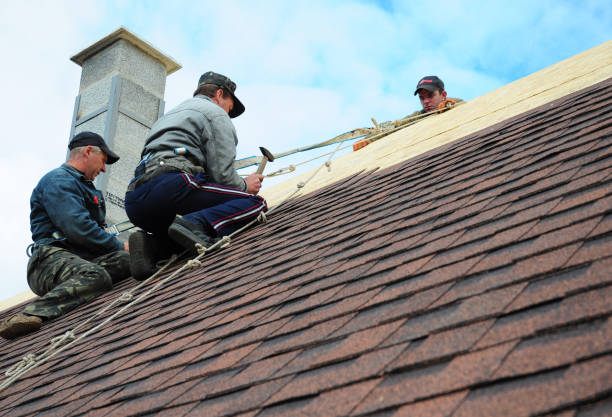 Best Local Roofing Companies  in Woodward, OK