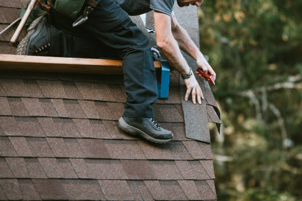 Best Metal Roofing Contractor  in Woodward, OK